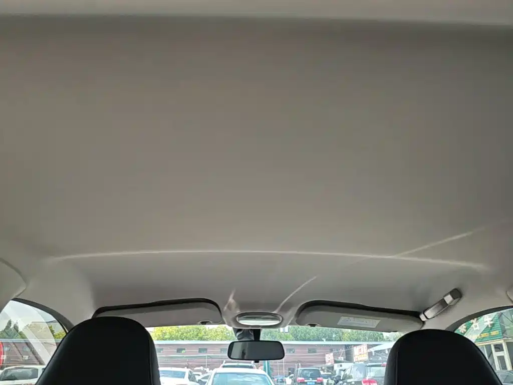 Chery New Energy Chery Wujie Pro 2023 2022 301km Warcraft Edition LFP