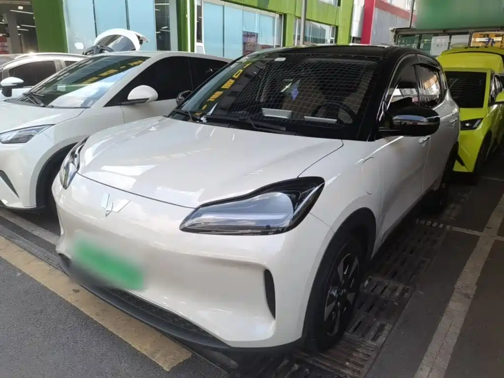 Wuling Motors Wuling Binguo PLUS 2025 2024 401km Range 5-seater