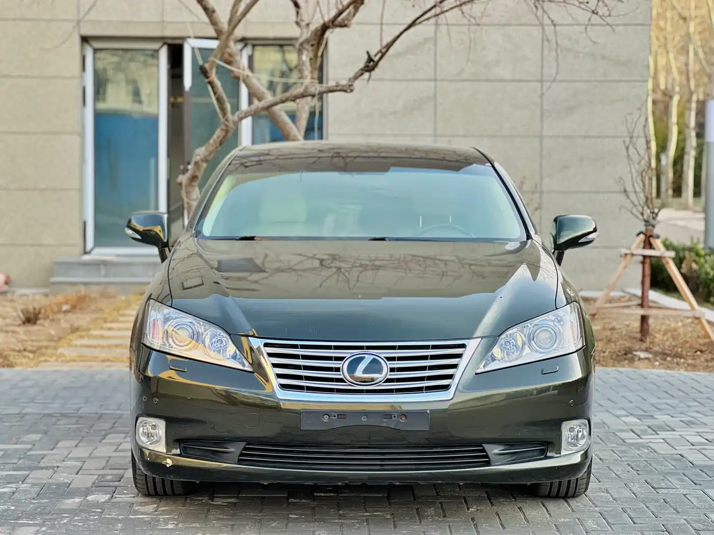 Lexus ES 2010 350 Premium Edition фото 2