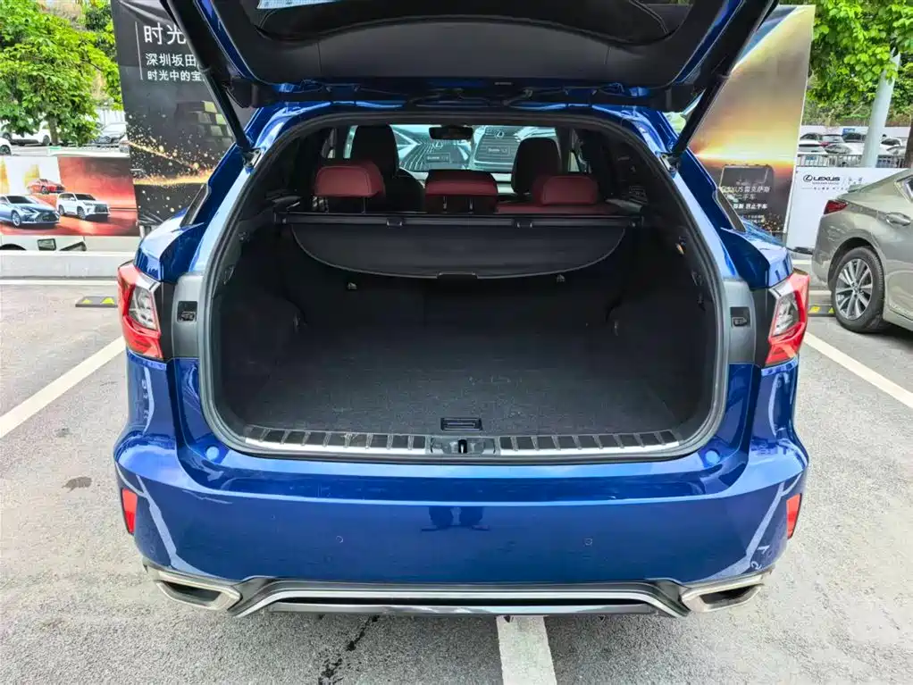 Lexus RX 2016 300 AWD F SPORT Edition China V фото 12