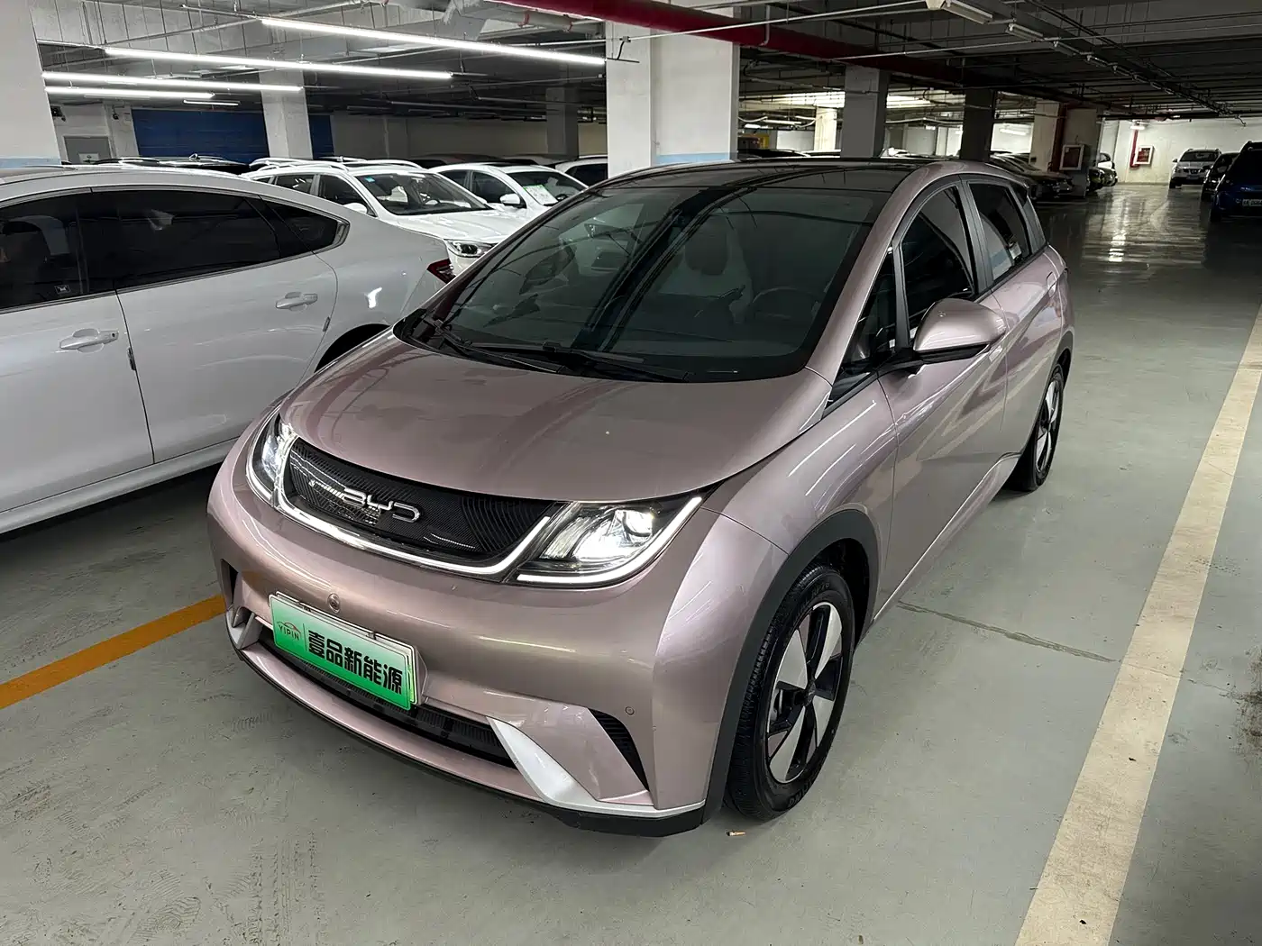 BYD DOLPHIN