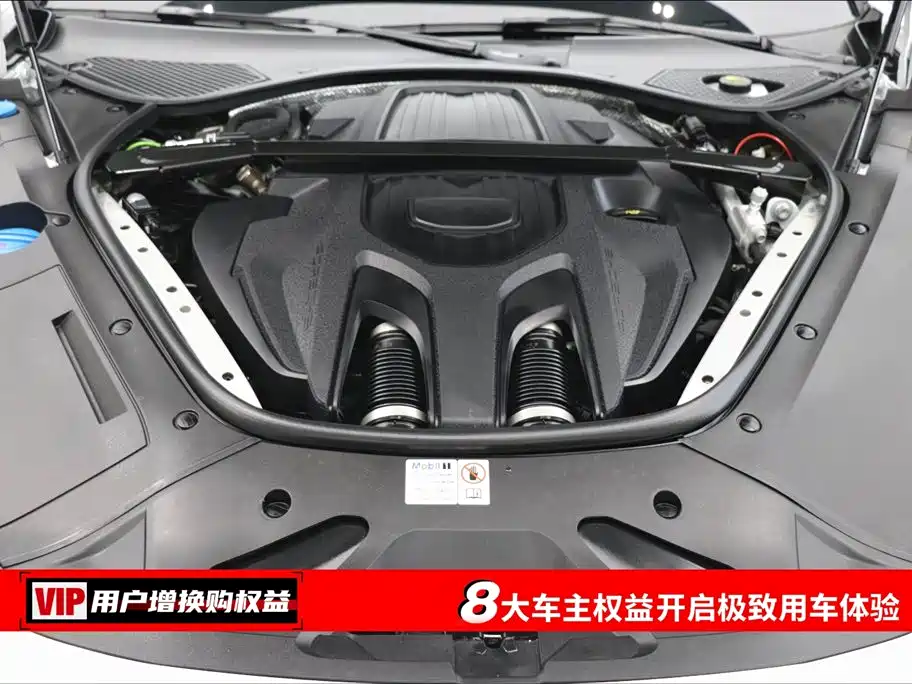 Porsche Panamera 2023 Panamera 2.9T Platinum Edition фото 7