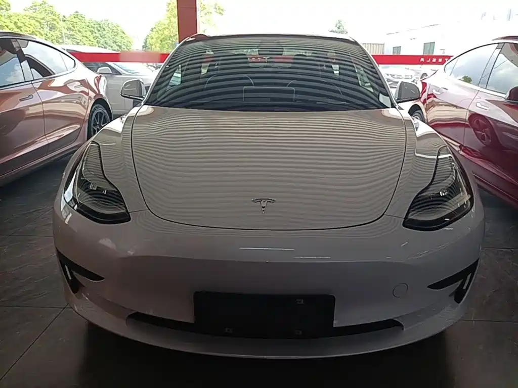 Tesla Model 3 (Import) 2019 2019 Standard Range RWD Upgraded Edition