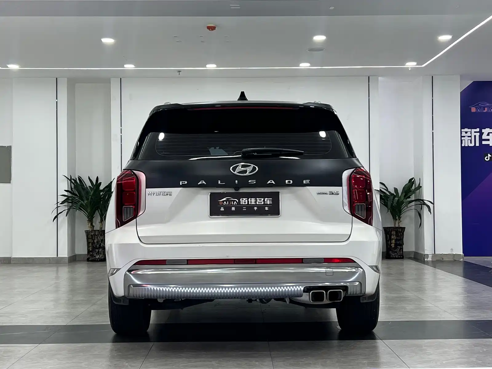 صورة 6 - Hyundai Palisade