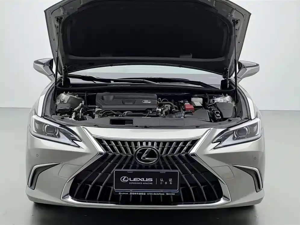 Lexus ES 2022 200 Excellence Edition фото 2