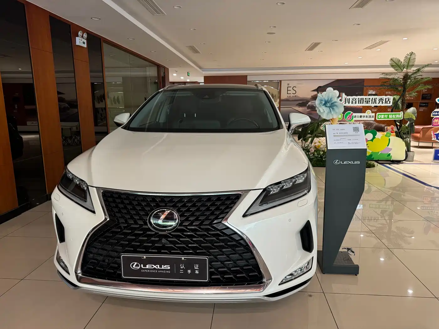 Lexus RX 2020 300 4WD Elegance Edition China VI фото 3