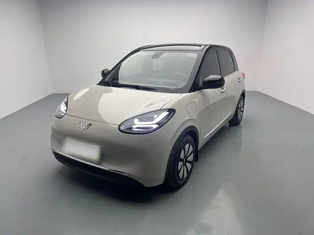 WULING WULING BINGGUO