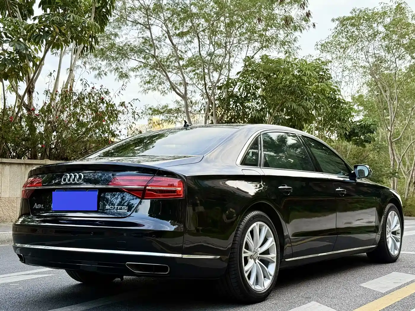 Audi A8 2014 A8L 45 TFSI quattro Luxury фото 18