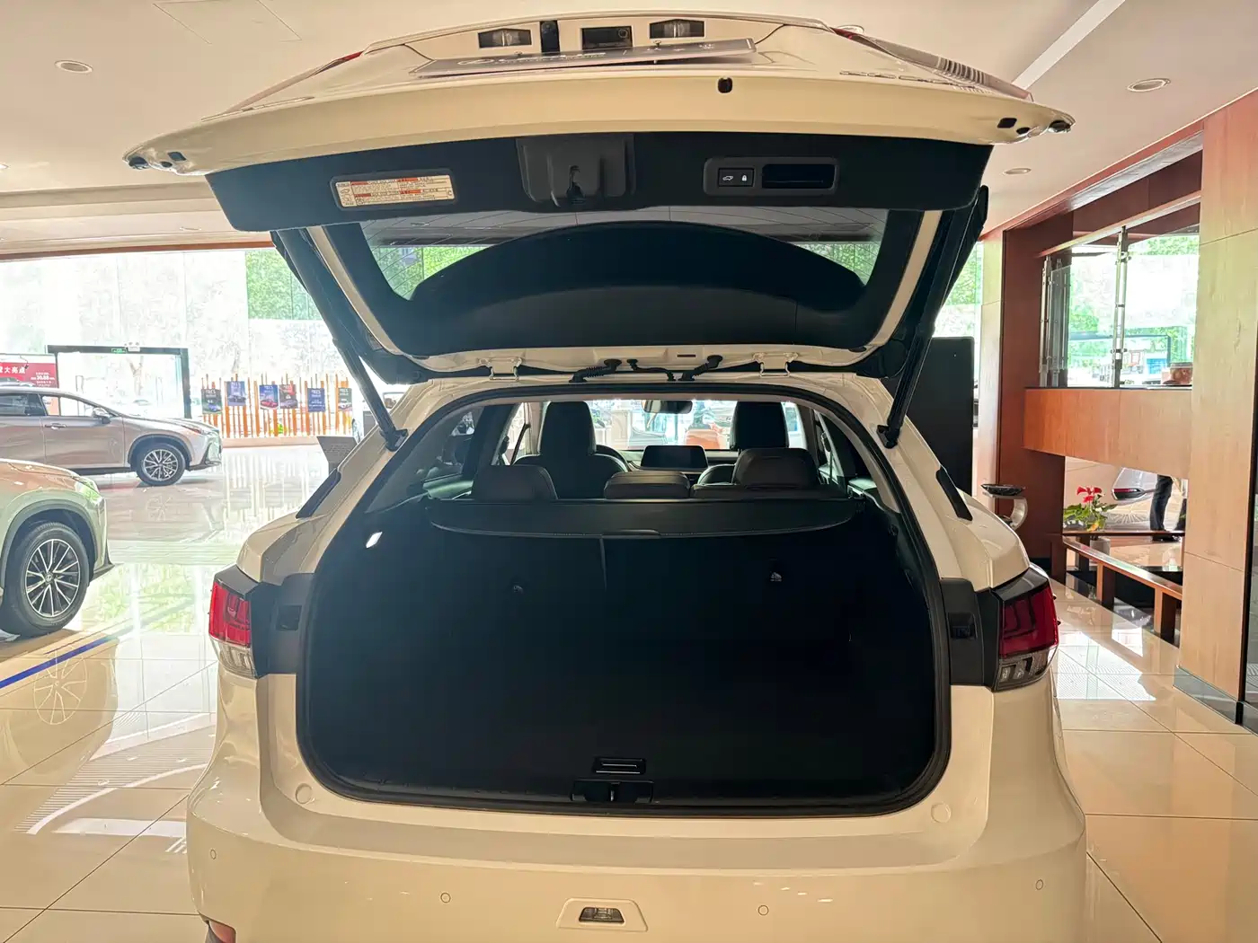 Lexus RX 2020 300 4WD Elegance Edition China VI фото 15