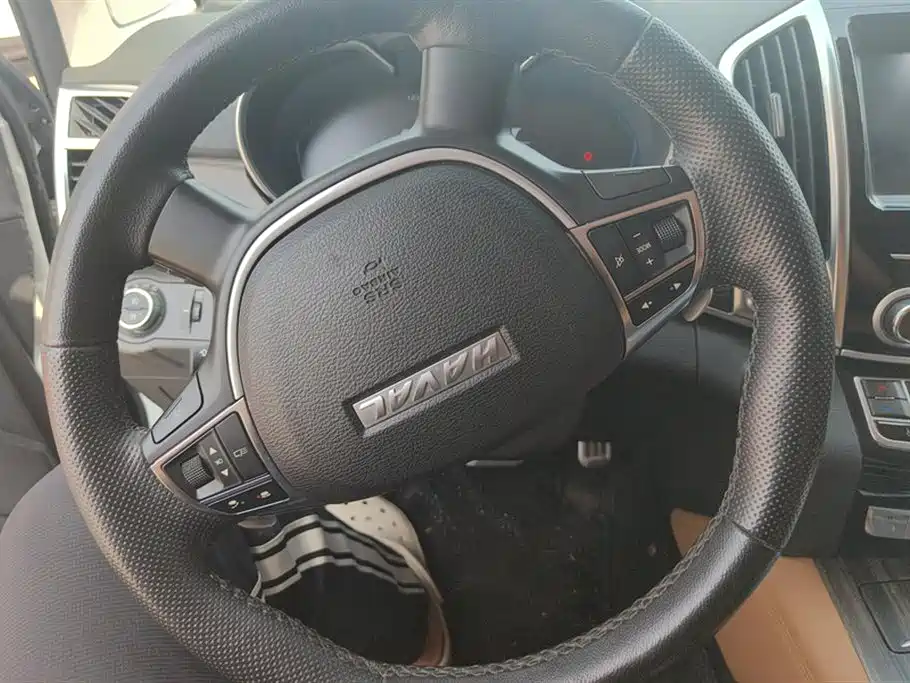 Haval H9 2020 2.0T Gasoline 4WD Premium 5-Seater фото 15