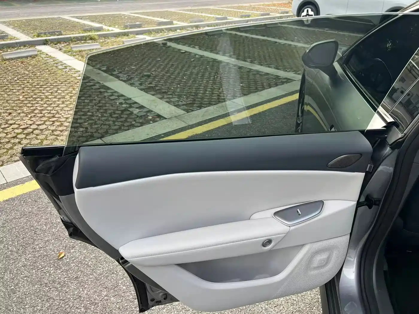 ARCFOX EXTREME FOX POLAR FOX ALPHA S5