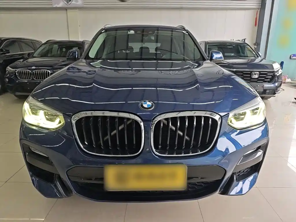BMW X3 2018 2018 xDrive30i Leading M Sport Package China V