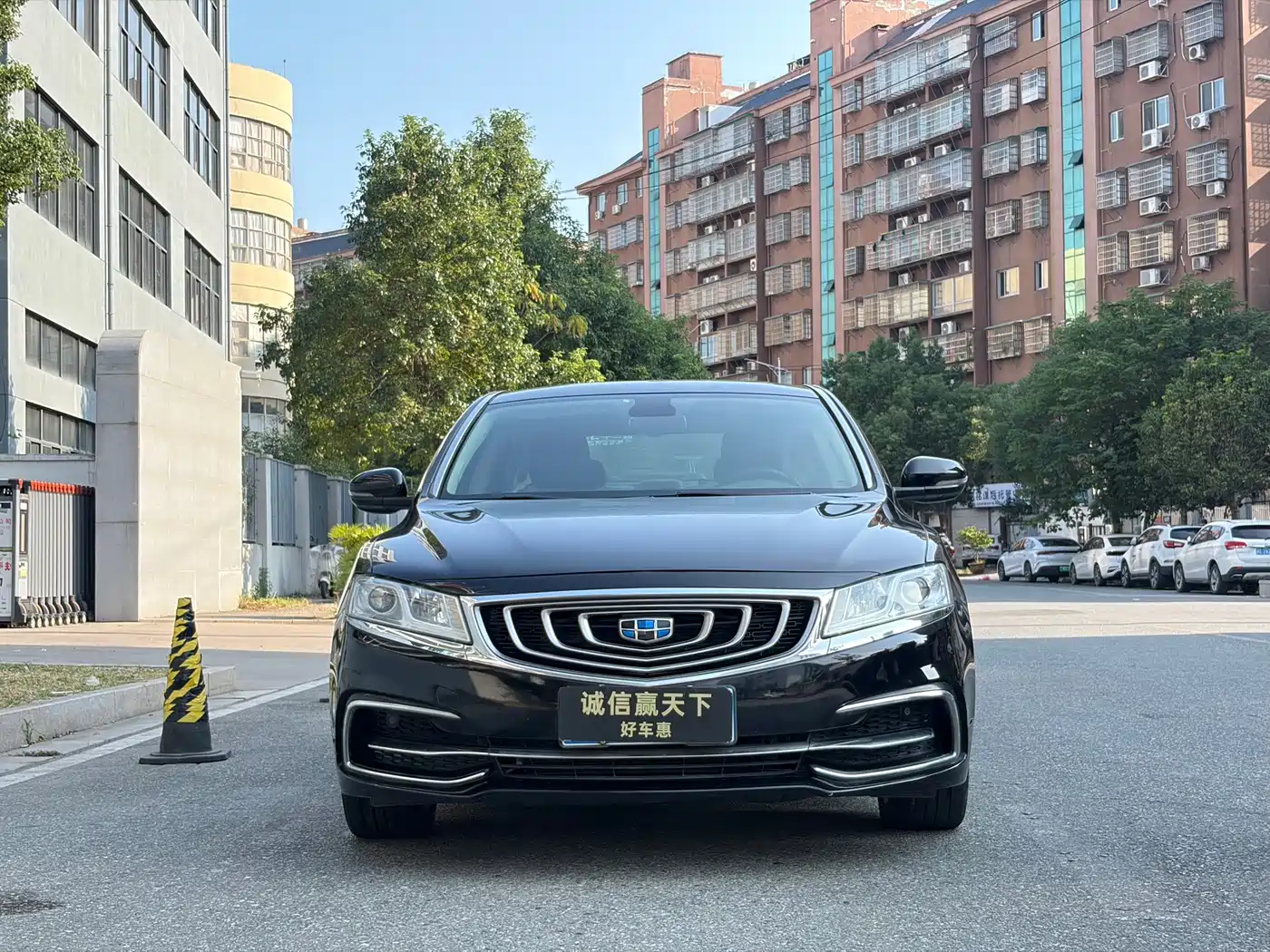 Фото 3 - Geely Borui