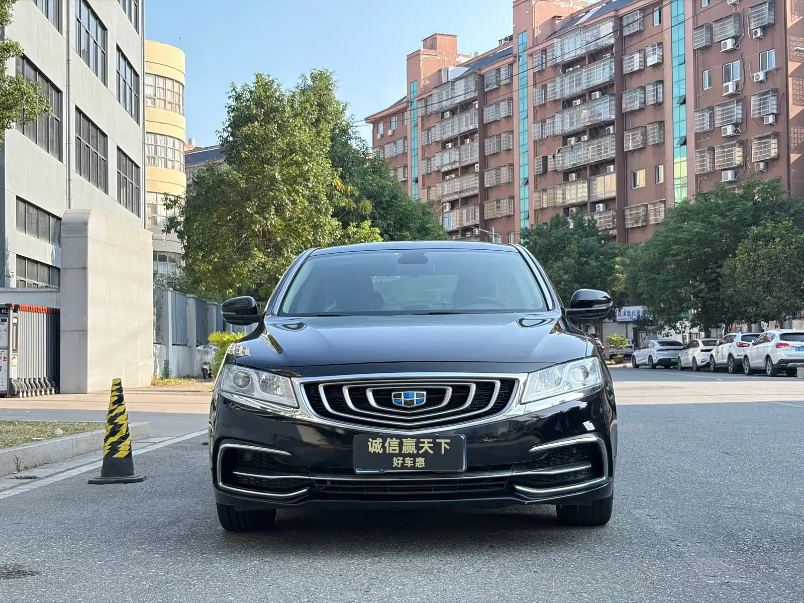 Фото 3 - Geely Borui