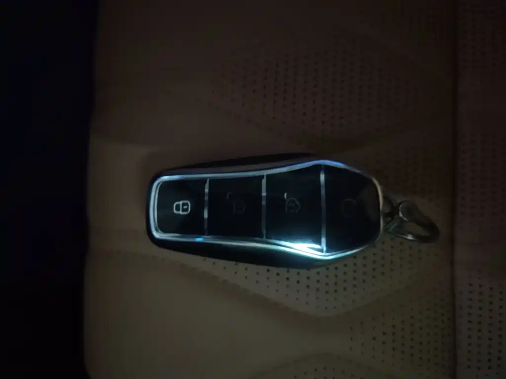 BYD Tang New Energy 2024 2023 Model DM-i Champion Edition 112KM Honor