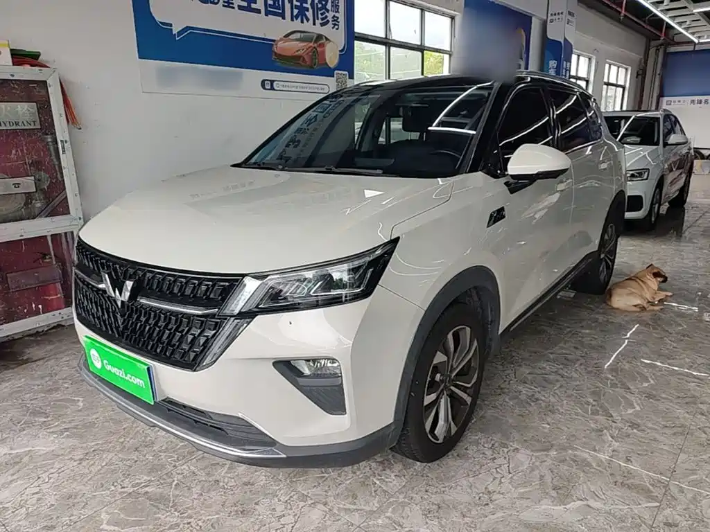 Wuling Motors Wuling Xingchen 2023 2021 1.5T CVT Stellar Edition