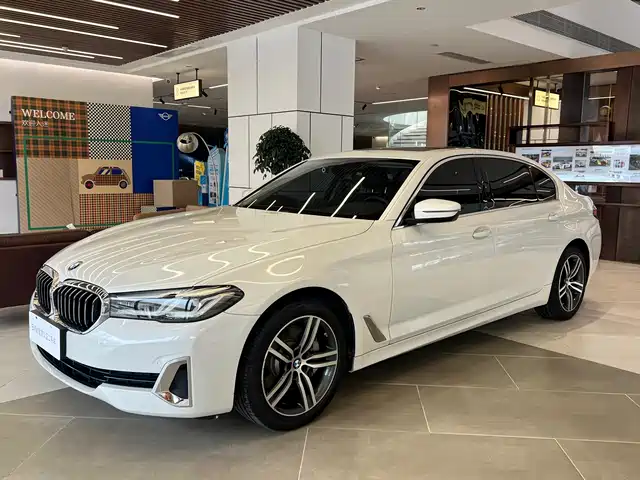 BMW 5 530Li, Лидер, Люкс-пакет