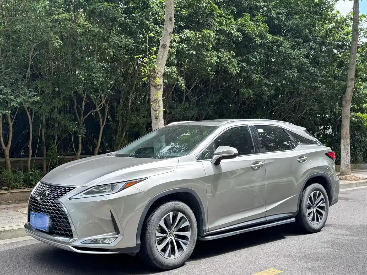 Lexus RX 2020 300 2WD Elite Edition China VI