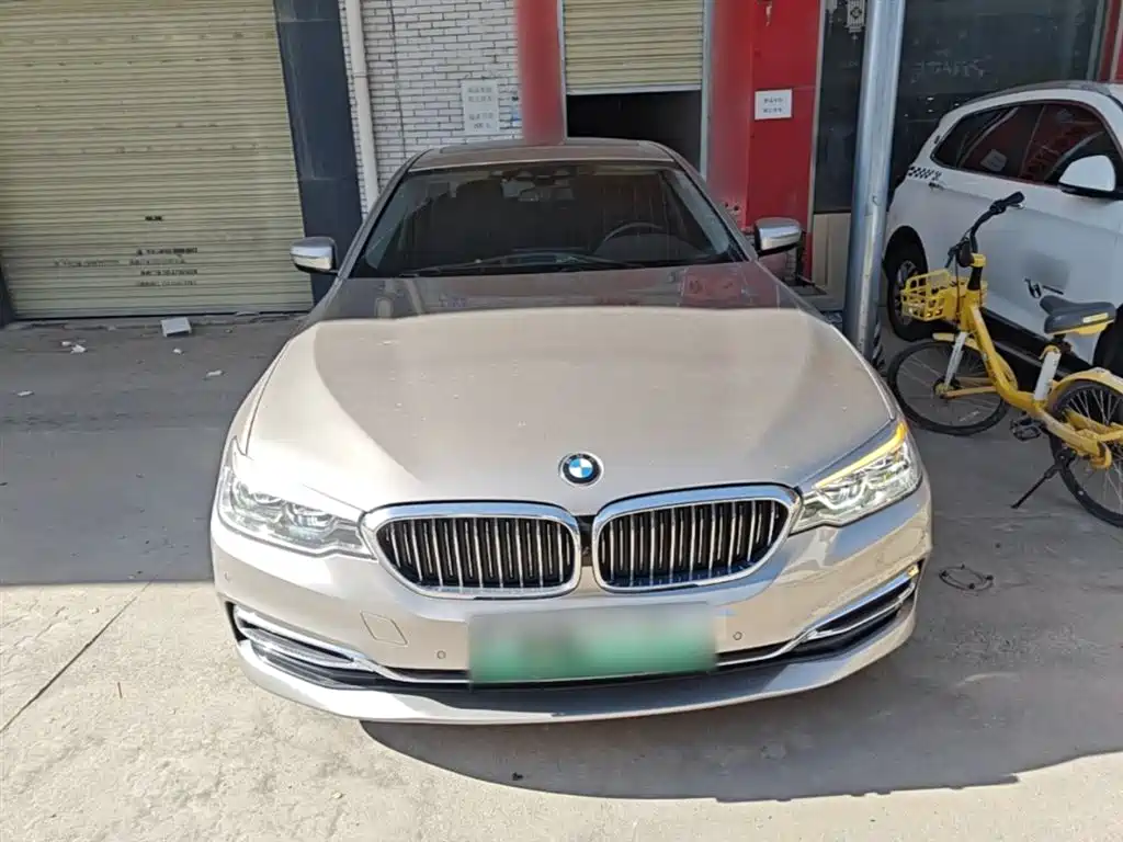 BMW 5 Series New Energy 2020 530Le Range Upgrade Luxury Package фото 3