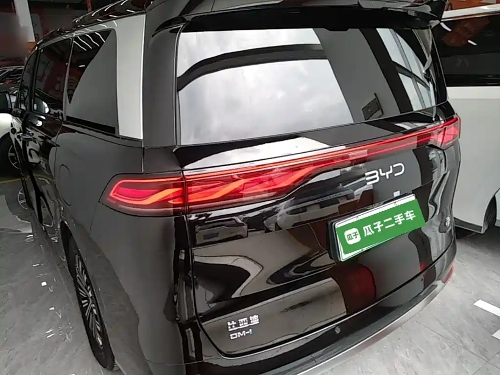 Фото 6 - BYD Xia