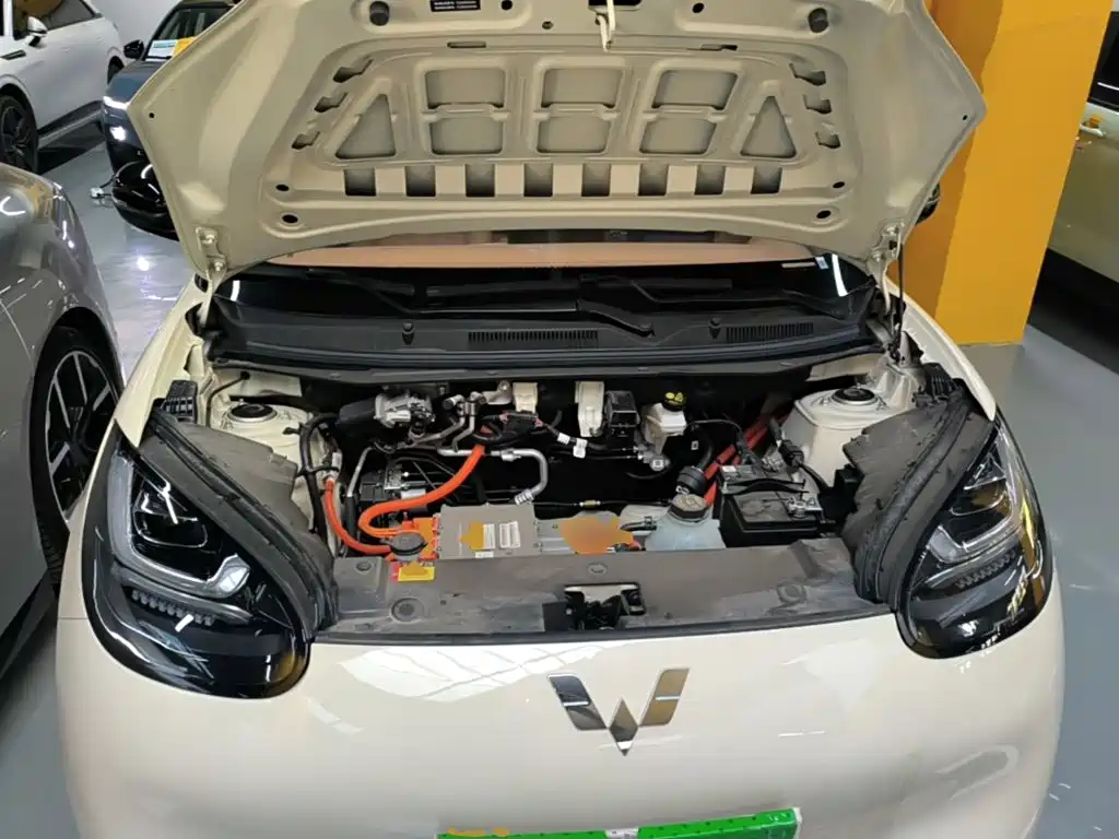 Wuling Motors Wuling Bingo 2026 2025 Model 333km Joy Edition