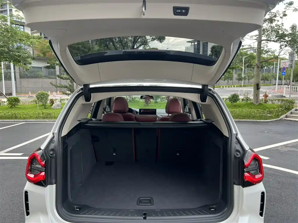 BMW X3 2023 xDrive30i Leading M Night Package фото 10