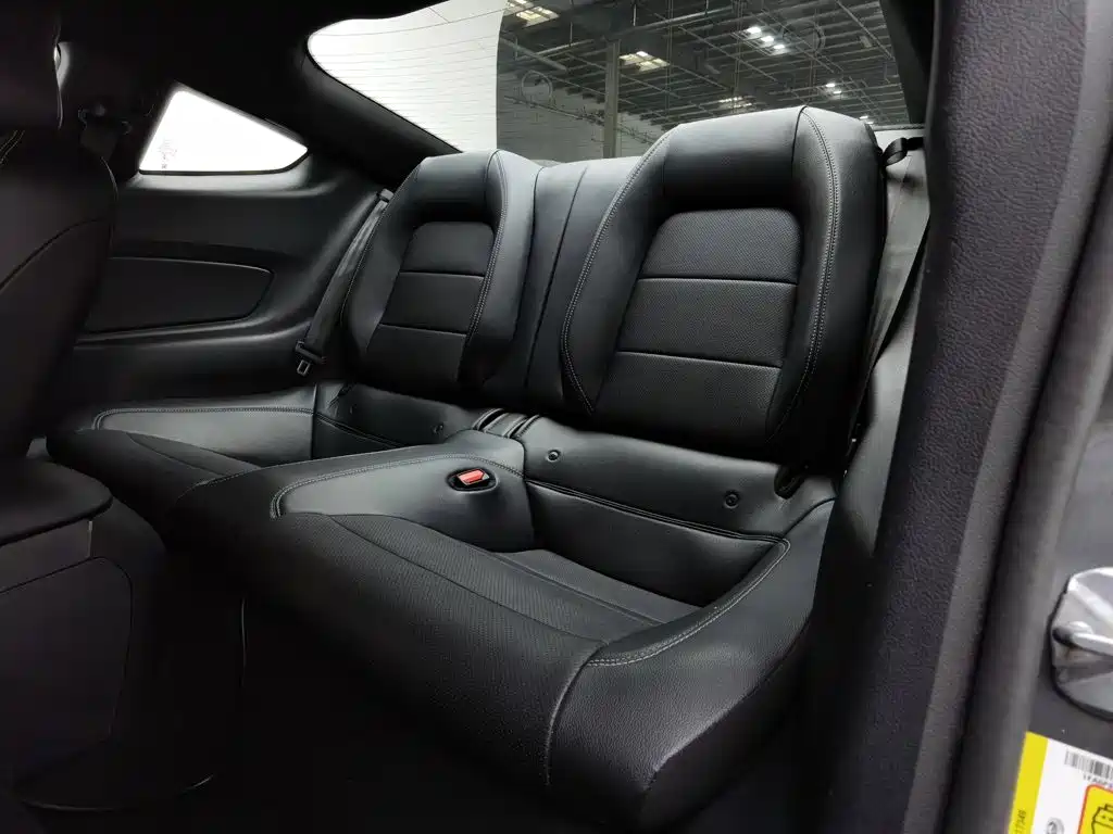 Ford Mustang, миниатюра 15