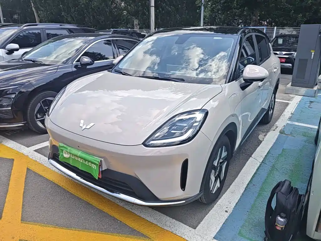 Wuling Motors Wuling Bingo S 2025 Model Base Version