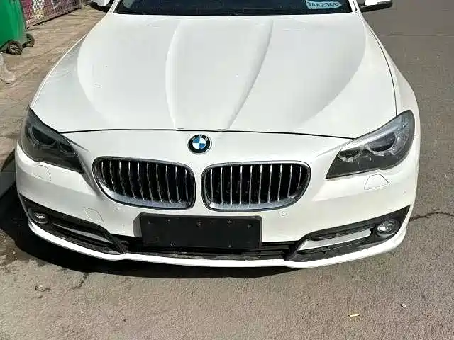 BMW 5 Series (Import) 2015 520i Elegance фото 2