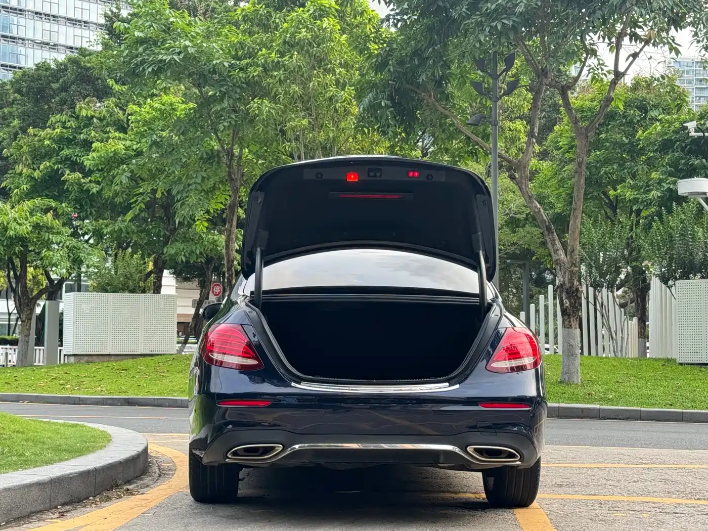 Mercedes-Benz E-Class 2020 E 300 L Sport Luxury Model фото 17