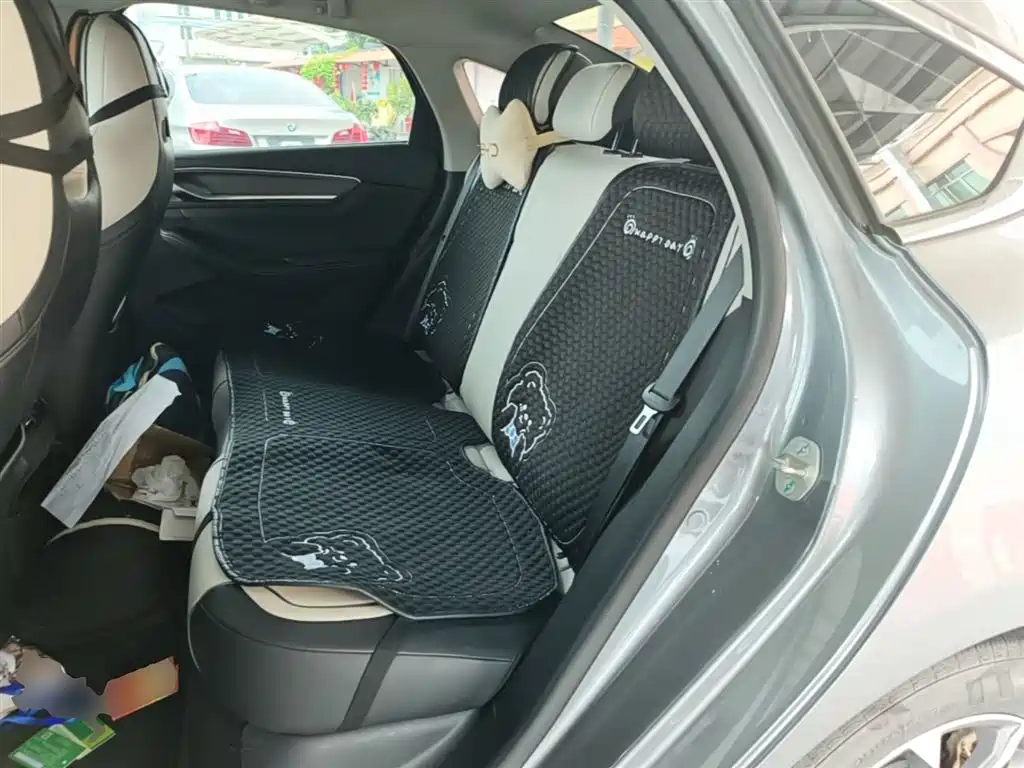 BYD Destroyer 05 2023 Champion Edition DM-i 55KM Luxury фото 17