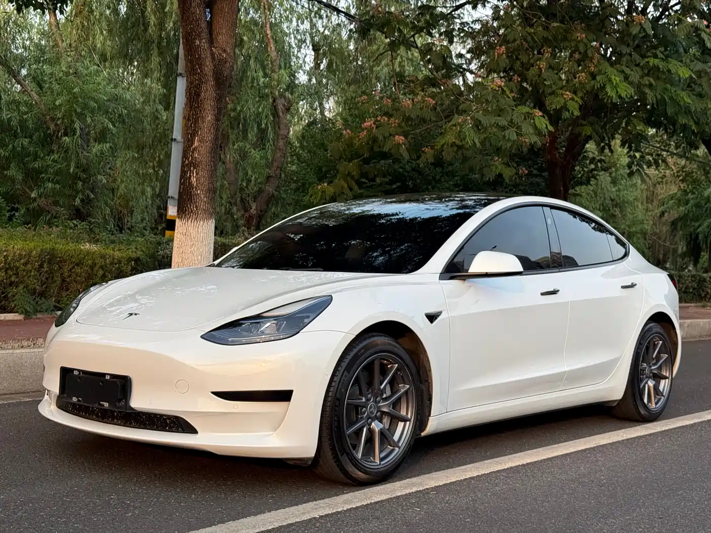 Tesla Model 3 2022 Model Rear-Wheel Drive Version