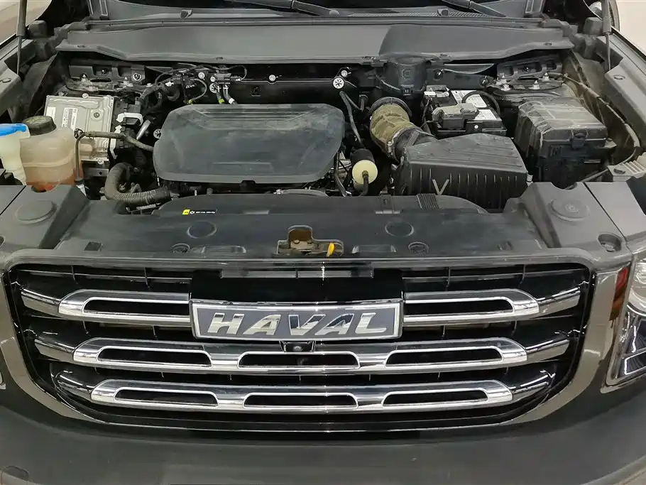 Haval Big Dog 2022 1.5T DCT FWD Border Collie Edition фото 10