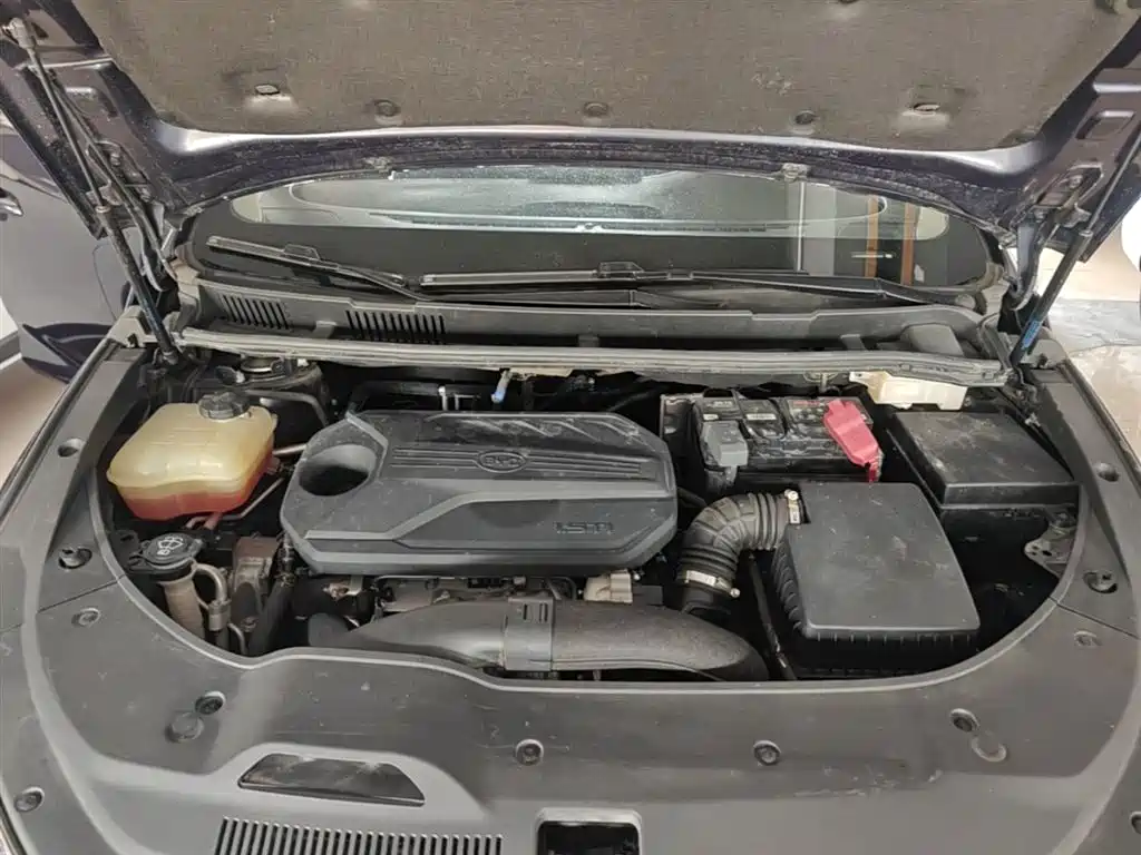 BYD Song MAX 2019 1.5T Auto Smart Connected Sunroof 6-seater China VI фото 20