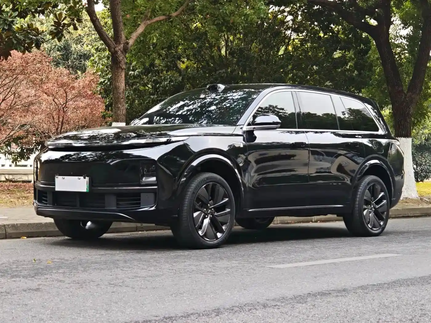 Li Auto Li Xiang L9