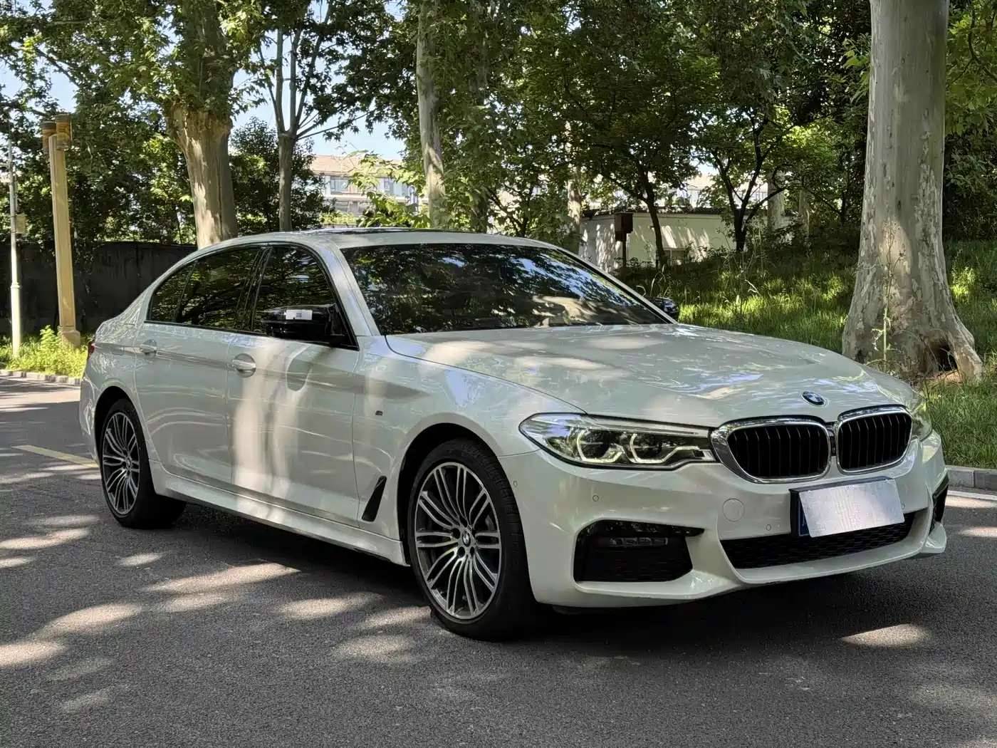 BMW 5 Series 2019 530Li Leading M Sport Package фото 3