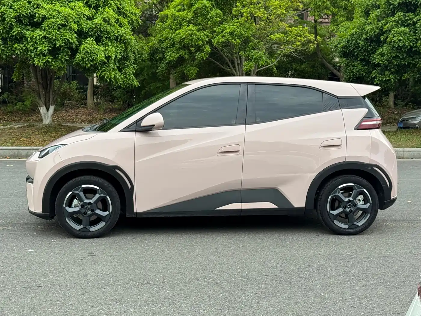 BYD Seagull 2024 Glory Edition 305km Freedom Edition фото 12