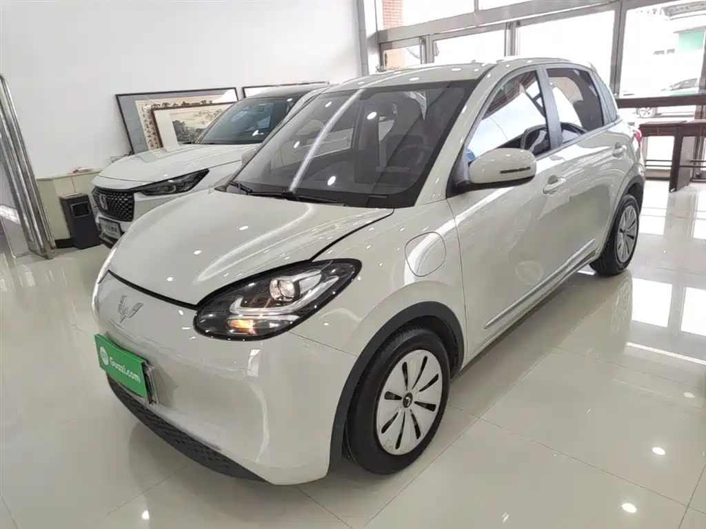 Wuling Motors Wuling Bingo 2023 333km Quick Enjoy Version