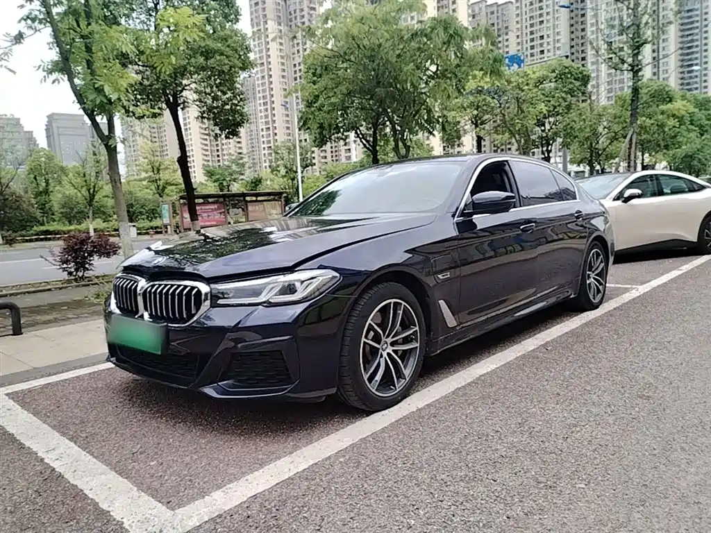BMW 5 Series New Energy 2022 Model Second Facelift 535Le M Sport Package