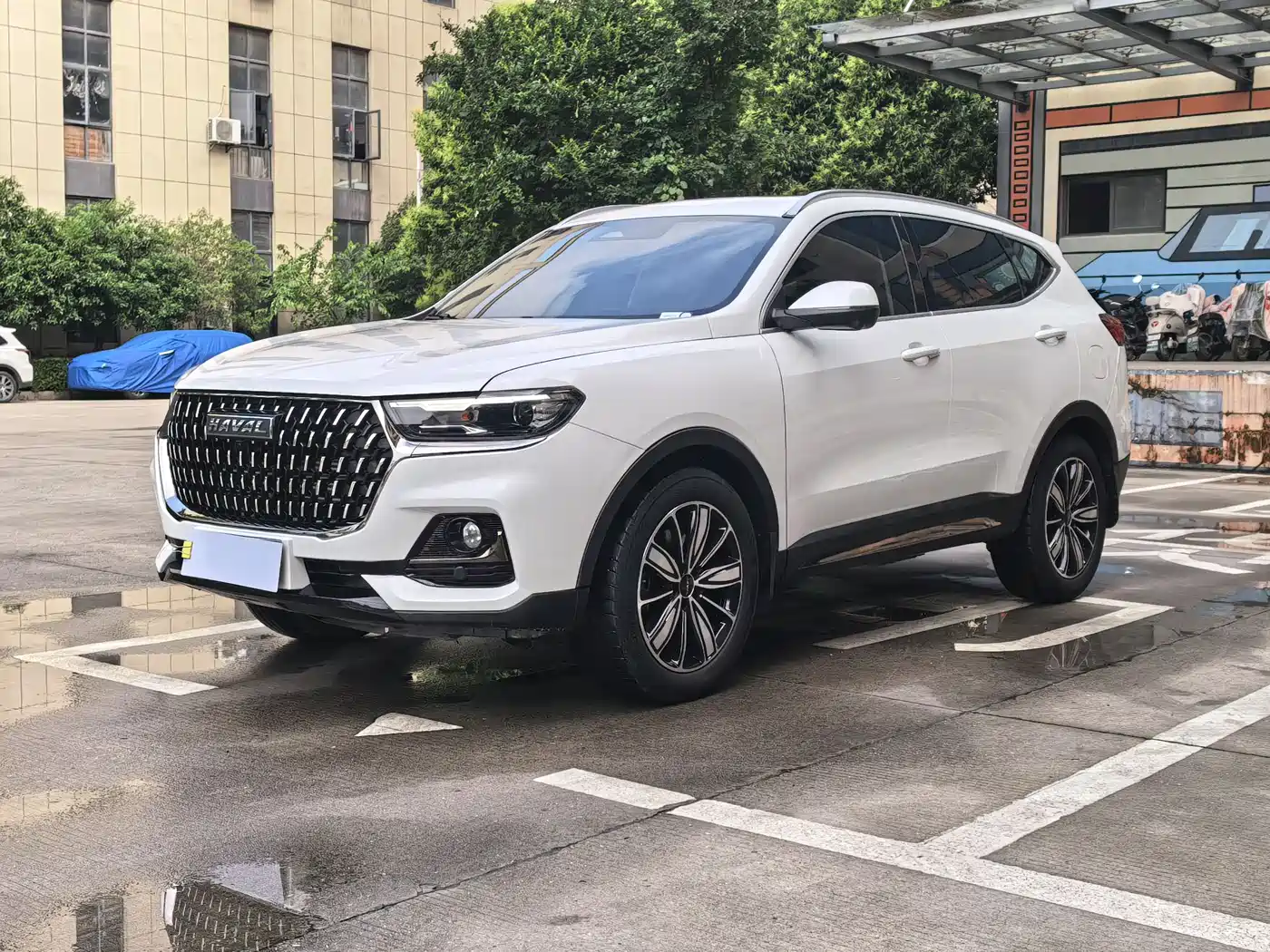 Haval H6 2023 National Trend Edition 1.5T Automatic Champion