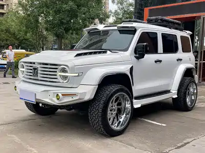 Tank 300