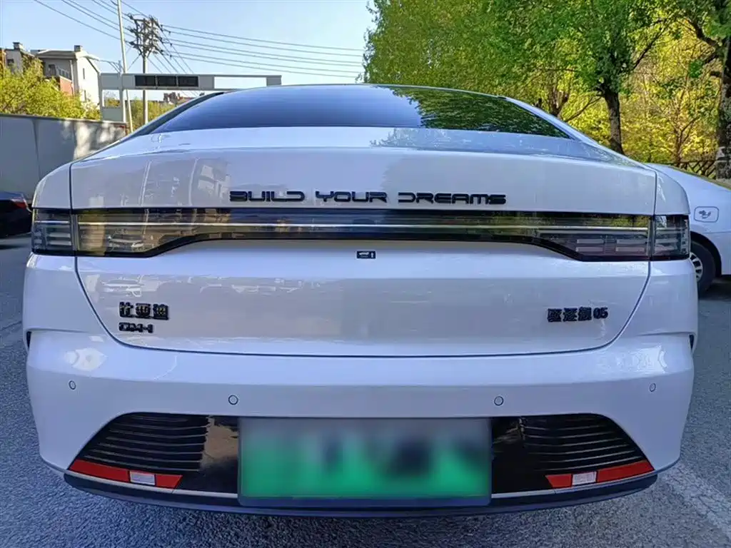 BYD Destroyer 05 2024 Glory Edition DM-i 55KM Luxury фото 7