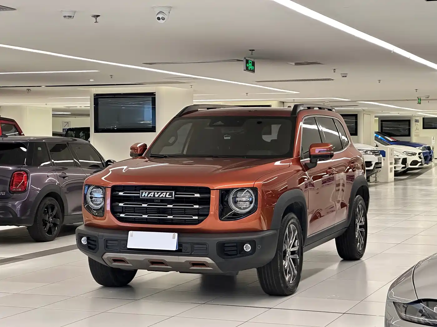 Haval Big Dog 2021 1.5T DCT 2WD Border Collie - Wangcai Edition