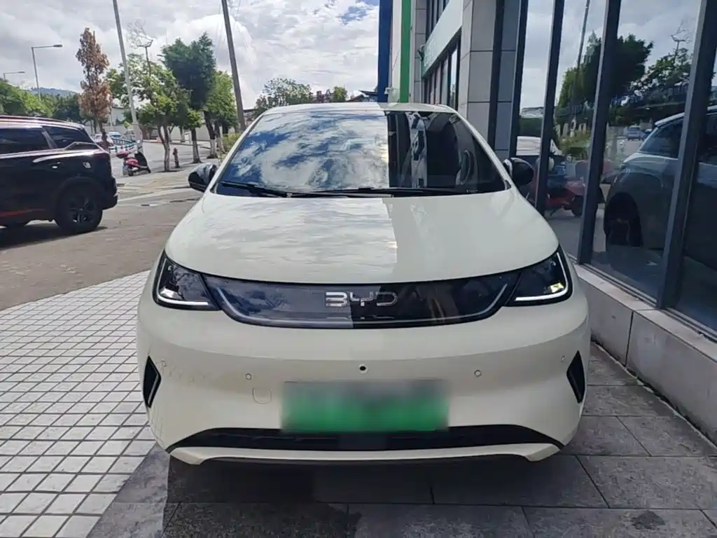 BYD Dolphin 2025 2025 Smart Drive Edition 420km Freedom Version