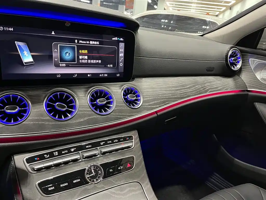 Mercedes-Benz CLS 2020 CLS 300 Luxury фото 13