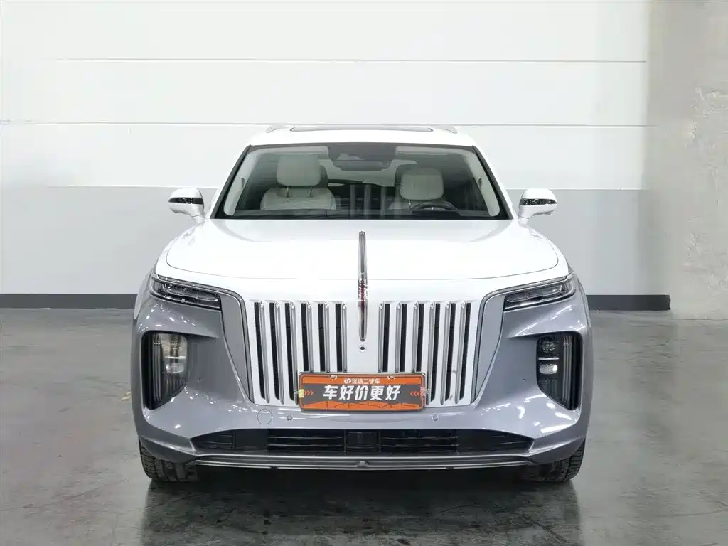 Hongqi E-HS9 2021 510km Flagship Edition 4-seater фото 3