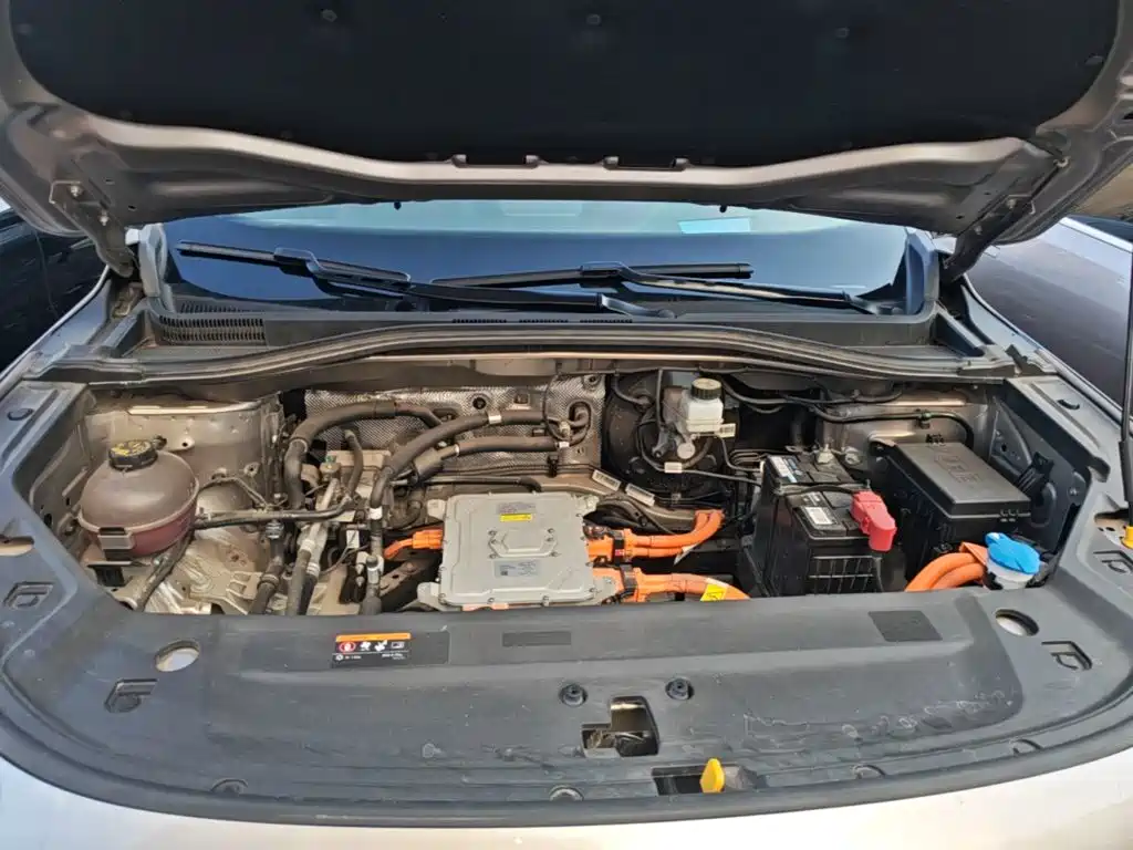 Ruilan Auto Ruilan 9 2024 2023 470km Pioneer Edition