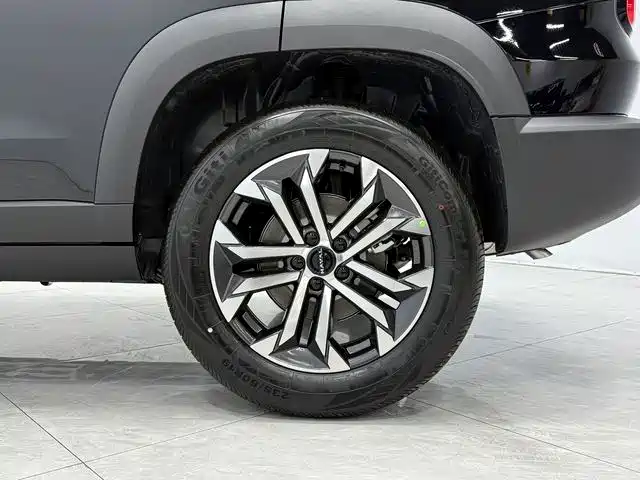 Haval Big Dog 2026 Model 1.5T High Configuration фото 14
