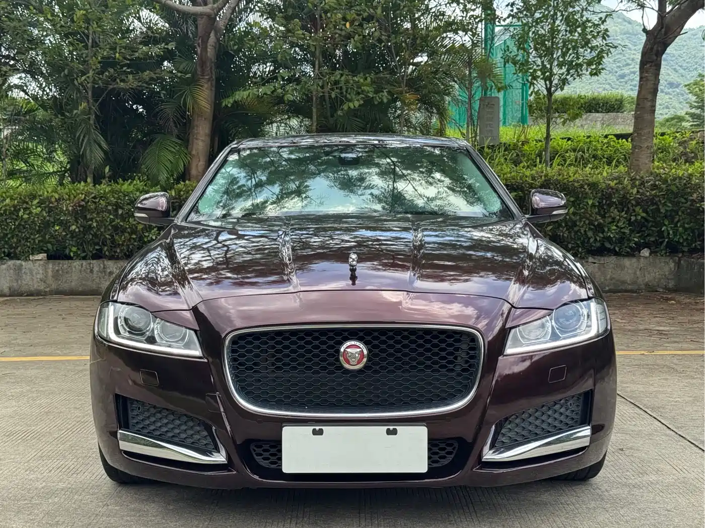 Фото 2 - Jaguar XFL