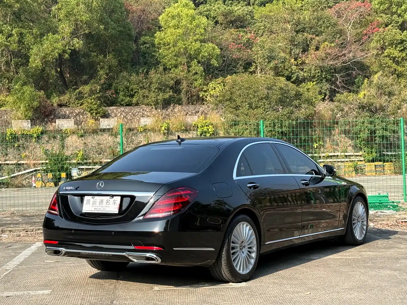 Mercedes-Benz S-Class 2020 S 350 L Business Edition Collector's Version фото 10